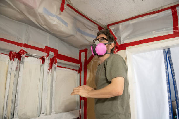 Asbestos and Lead Testing During Mold Inspection in Elkins, AR